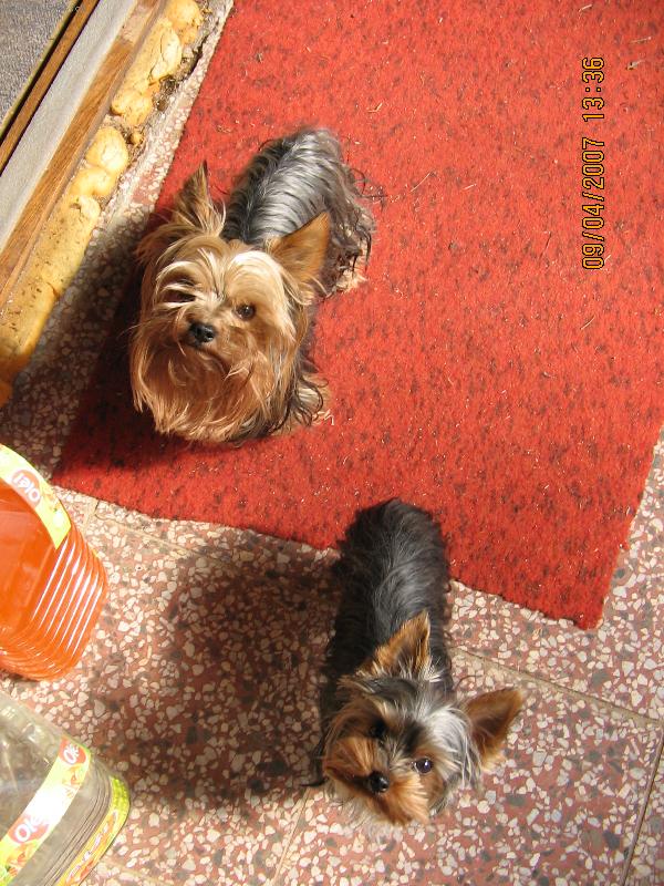 Foto: Rex a Phoebe
